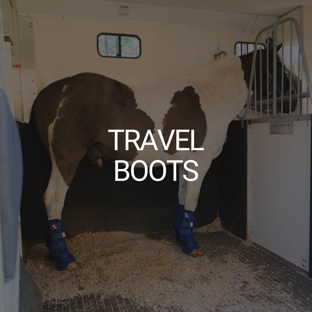 Travel Boots