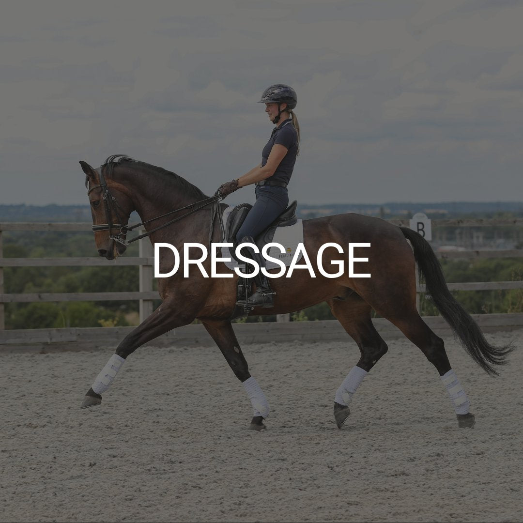 Dressage