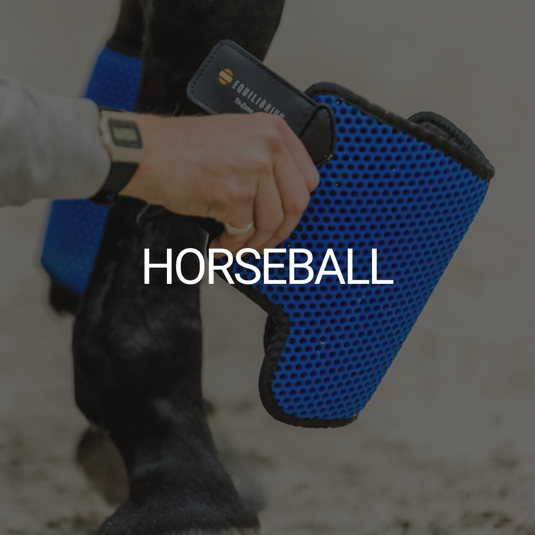 Horseball