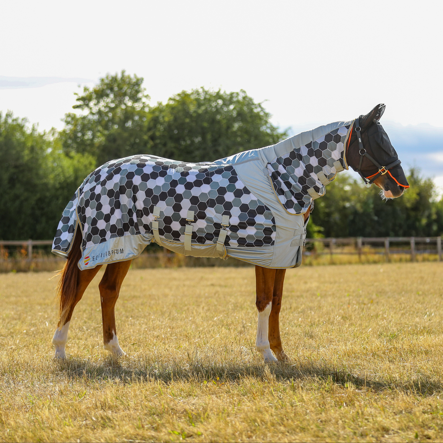 Field Relief Fly Rug