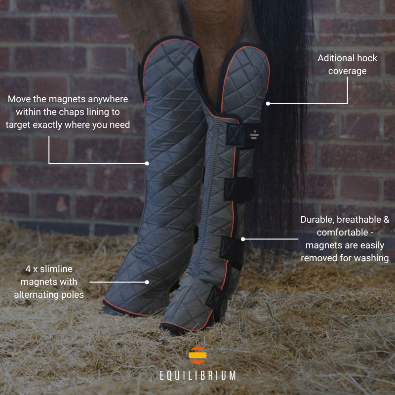 Magnetische Chaps für Hind &amp; Hock