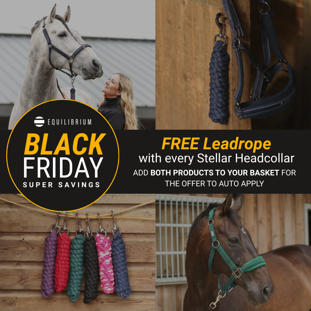 Stellar Style Headcollar