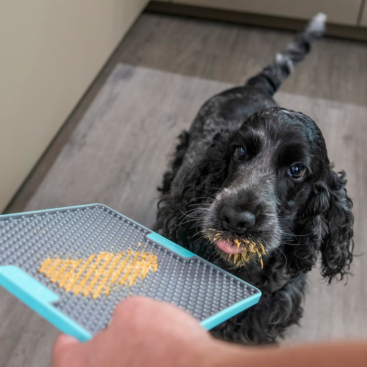 LickiMat Peanut Butter4Dogs