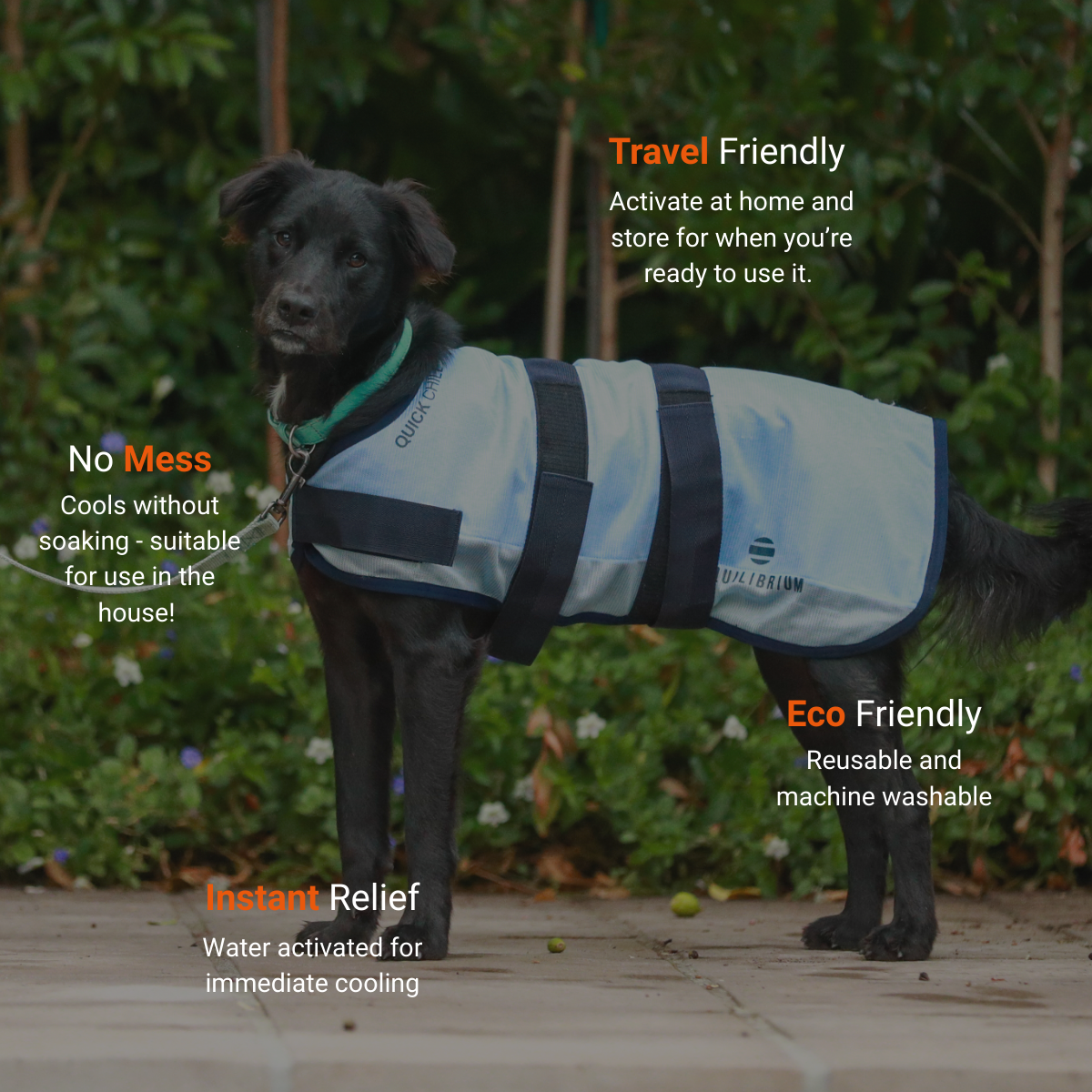Quick Chill Dog Coat