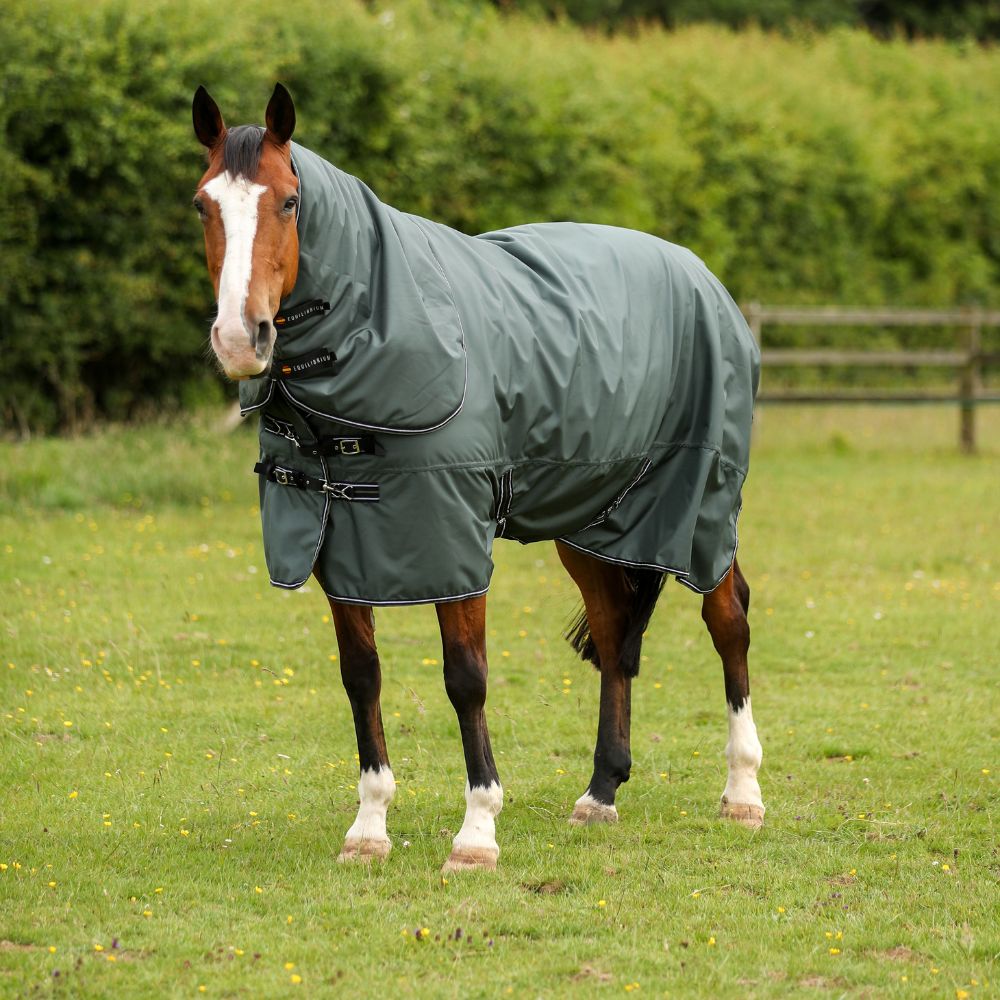 Endure Turnout Rug