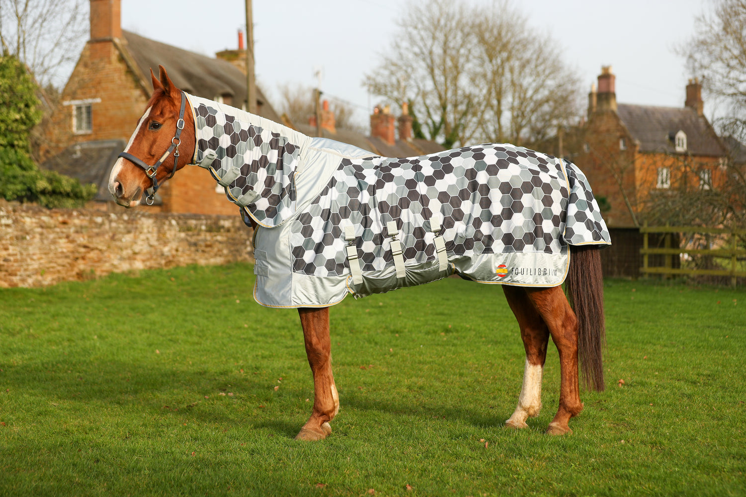 Field Relief Fly Rug