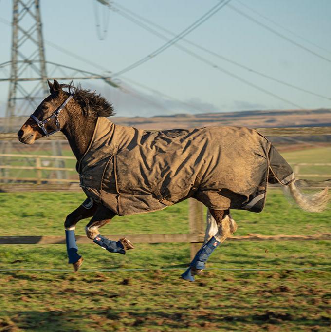 Equi-Chaps Hardy Chaps