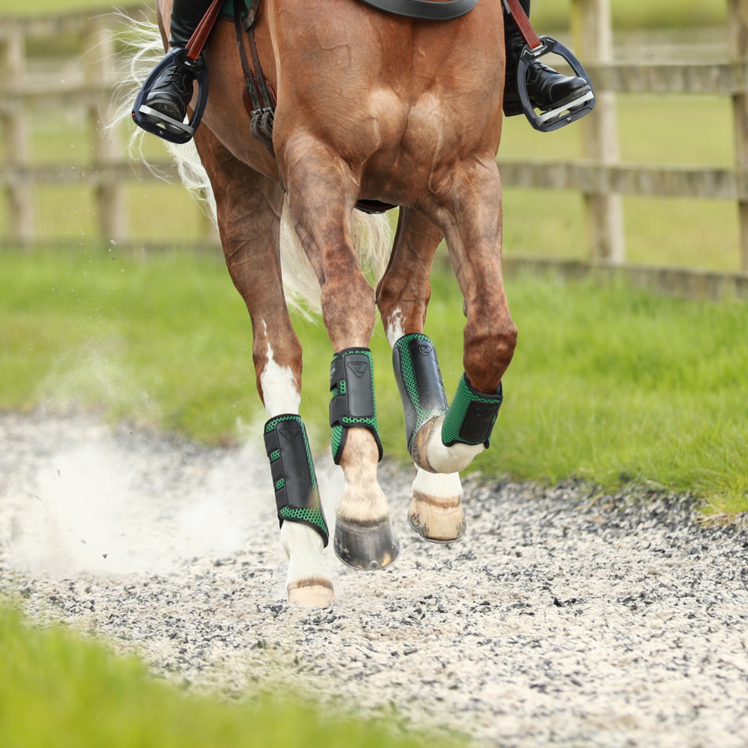 Tri Zone Tendon Boots Equilibrium