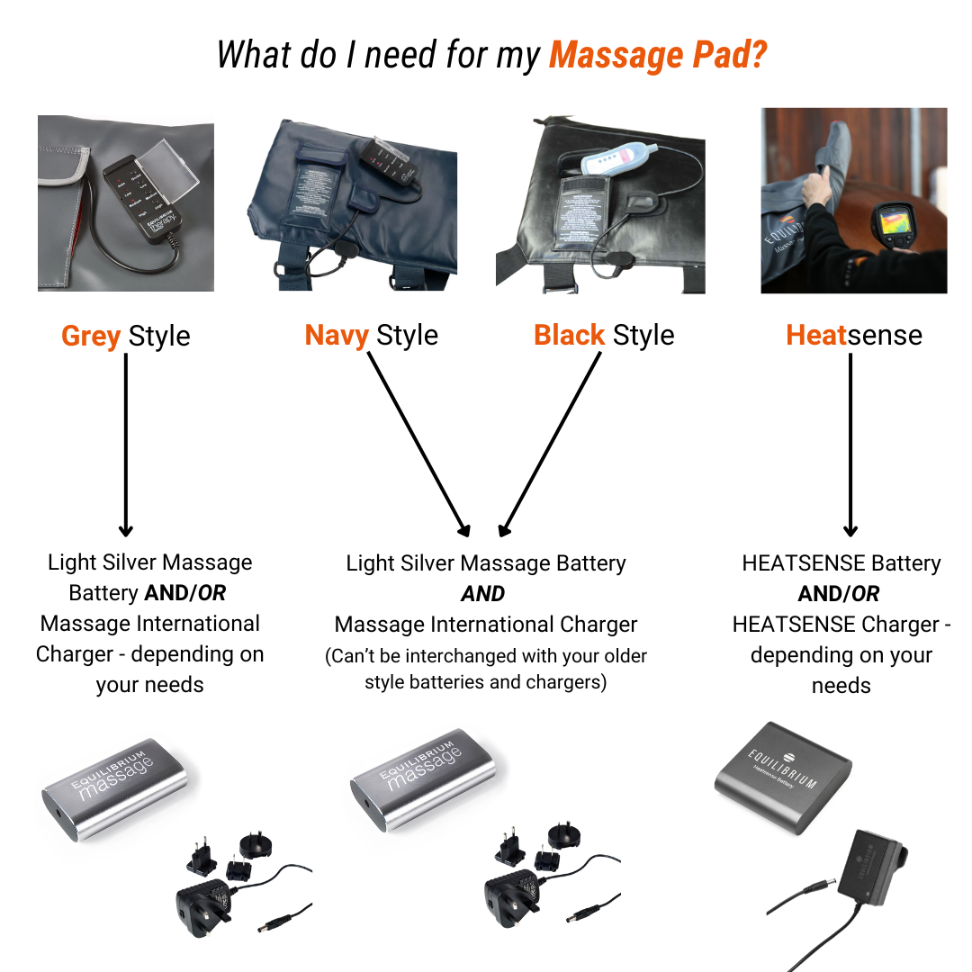 Massage International Charger