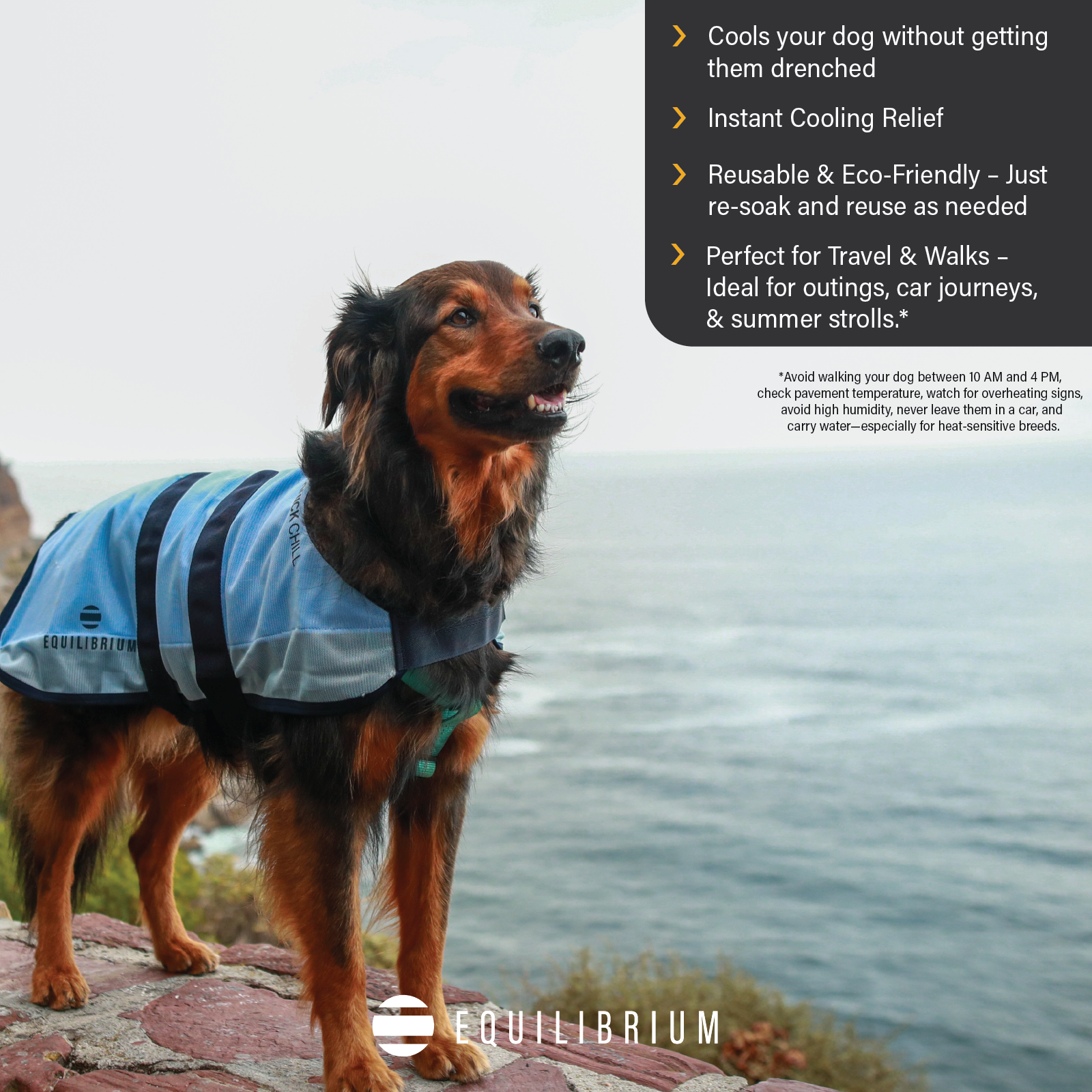 Quick Chill Dog Coat – Equilibrium - Main Image