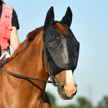 Netz-Relief-Reitmaske