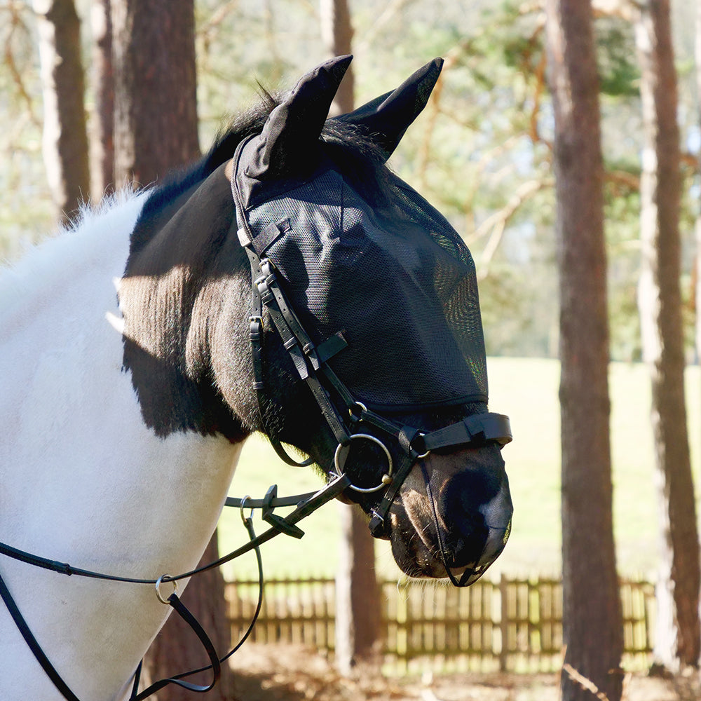 Masque d'équitation en relief en filet