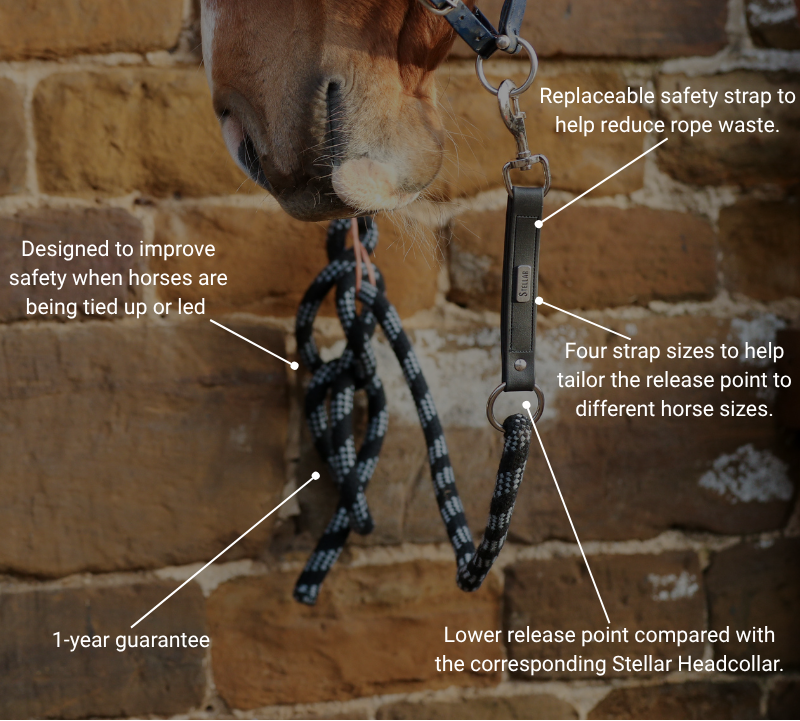 Stellar Safety Leadrope
