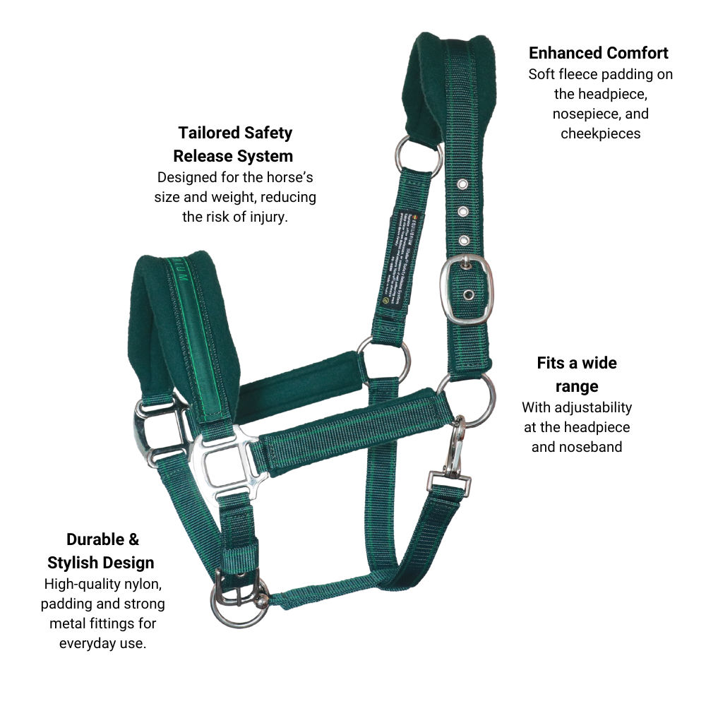 Stellar Style Headcollar