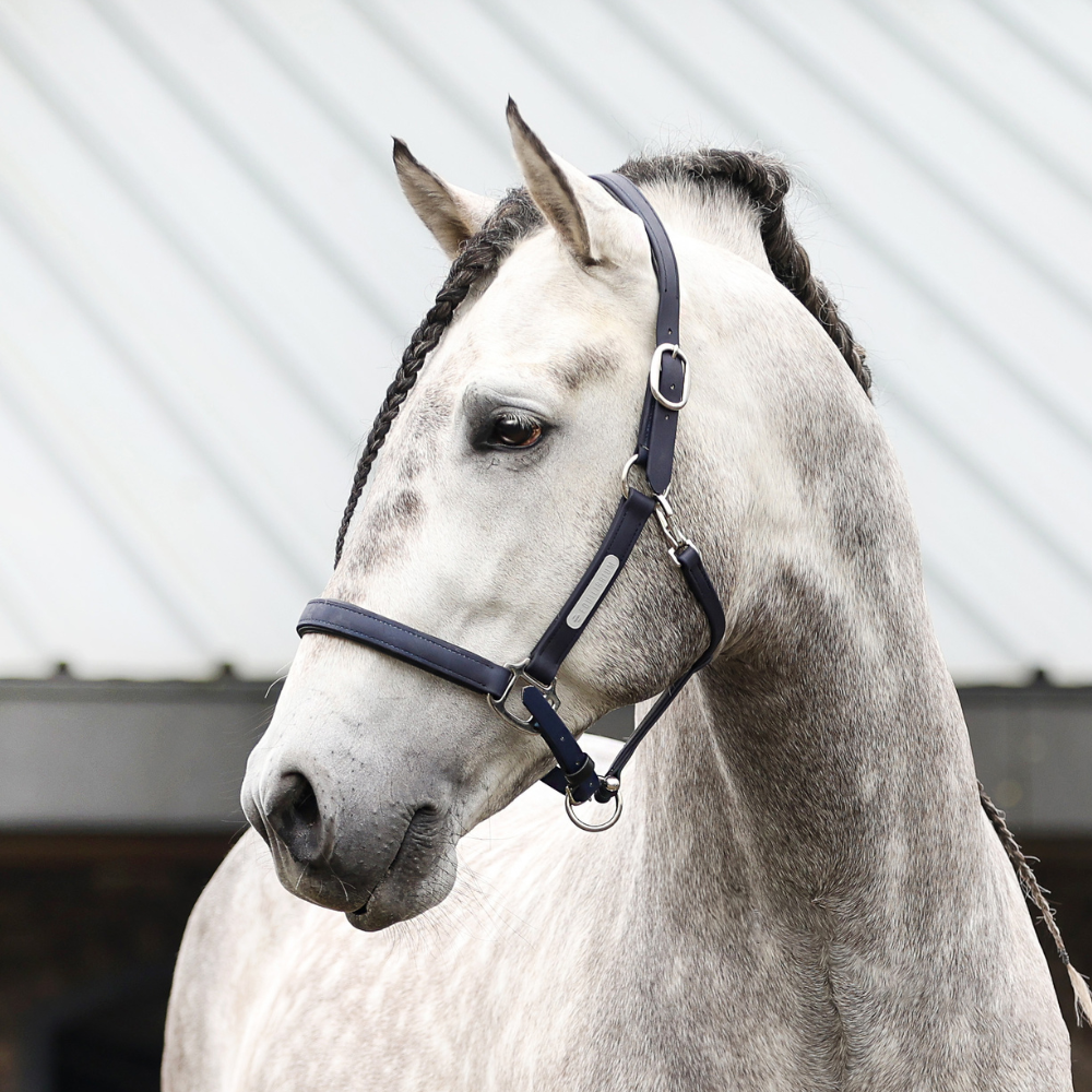 Stellar All Weather Headcollar