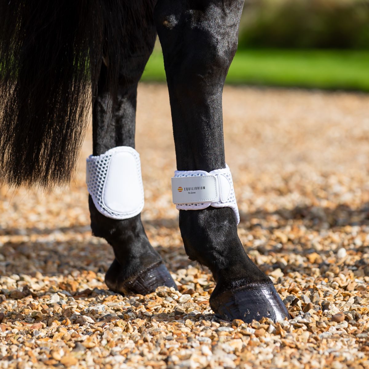 Tri-Zone Fetlock Boots