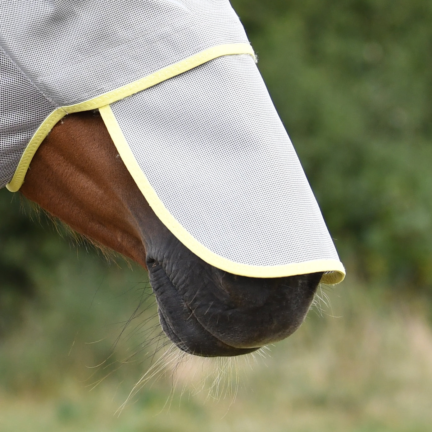 Pièce de nez amovible en relief sur le terrain