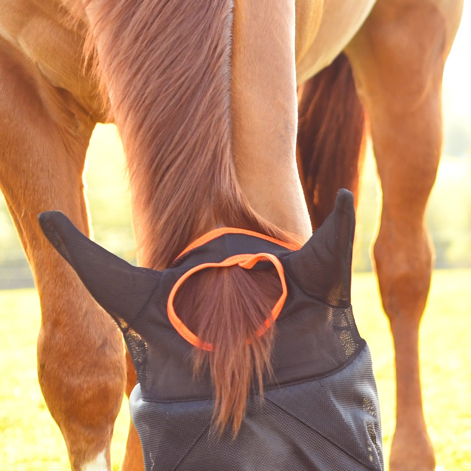 Masque anti-mouches midi Field Relief avec oreilles