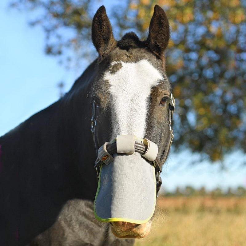 Protecteur de bouche de secours sur le terrain