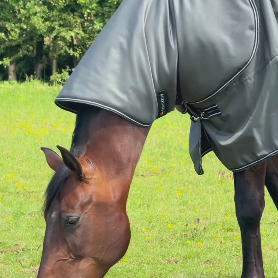Endure Turnout Rug