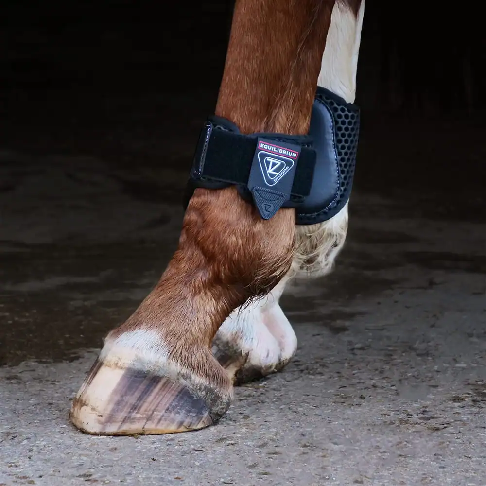 Fetlock Boots for horses | Tri-Zone by Equilibrium Products | BS compliant